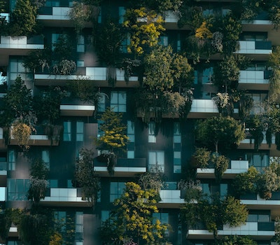 Entreprise promotion immobilière - bâtiment couvert de plantes et arbres. Birdy Promotion @pexels-francesco-ungaro-4322027